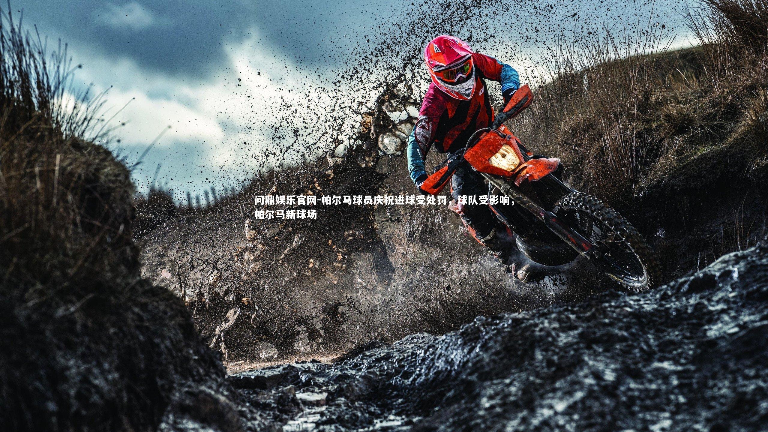 帕尔马球员庆祝进球受处罚，球队受影响，帕尔马新球场