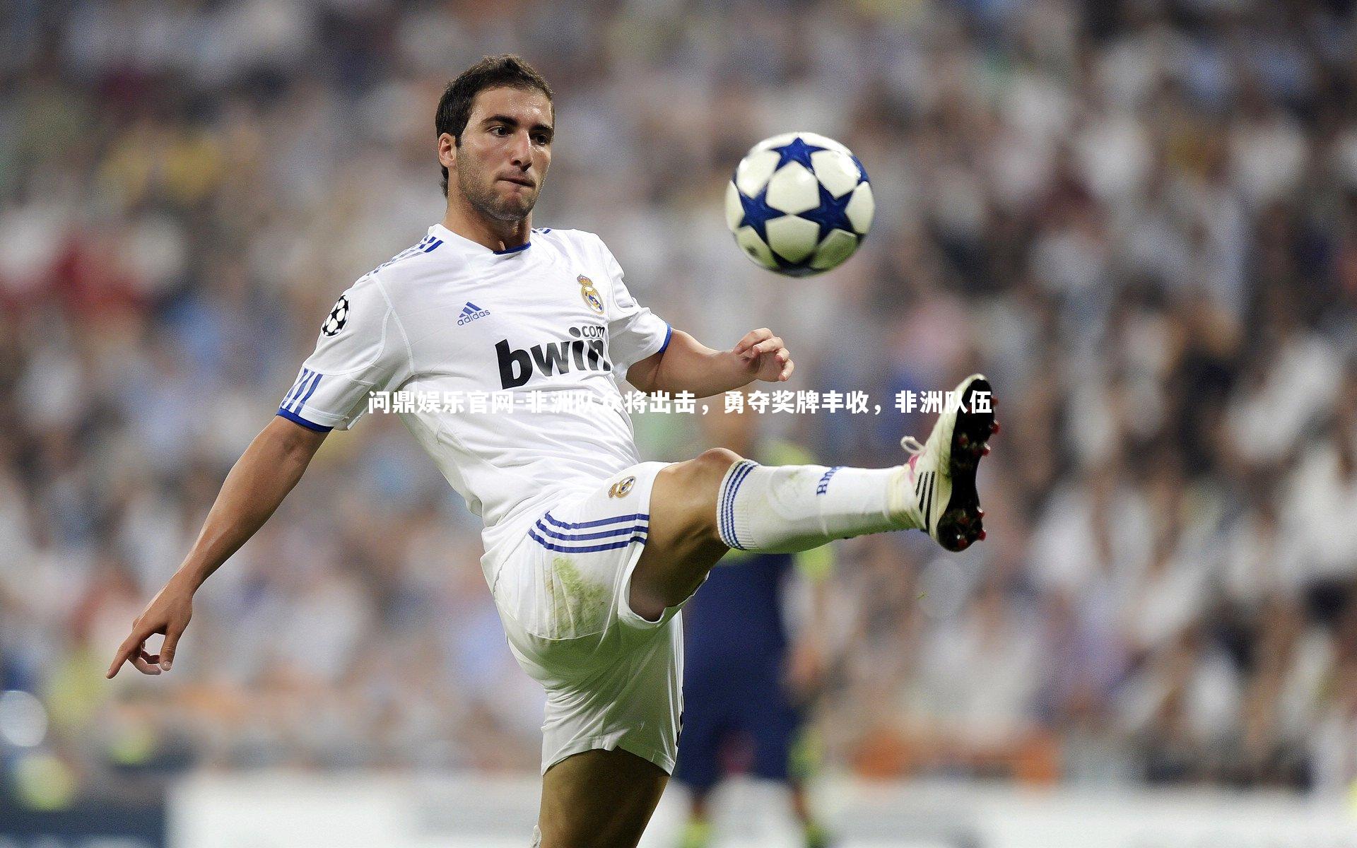 非洲队众将出击，勇夺奖牌丰收，非洲队伍